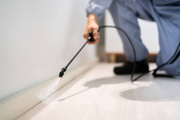 Licensed Termite Control service in Baker, LA - Nex Pest Control