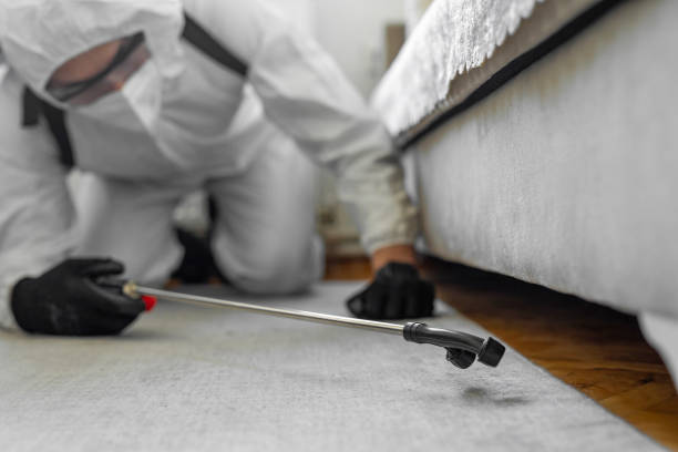 Professional Termite Control technician working in Baker, LA