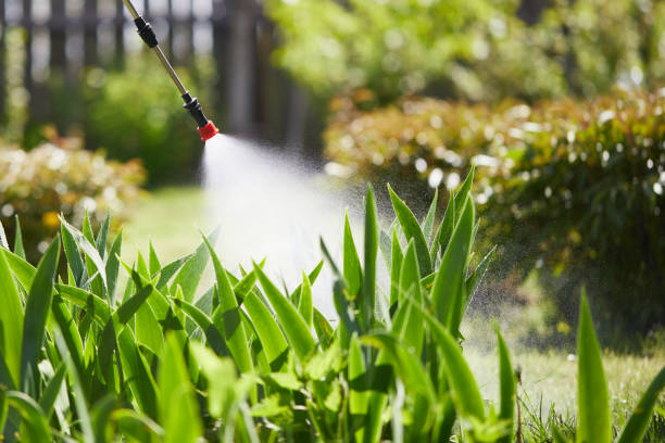 24/7 Emergency Termite Control experts in Baker, LA