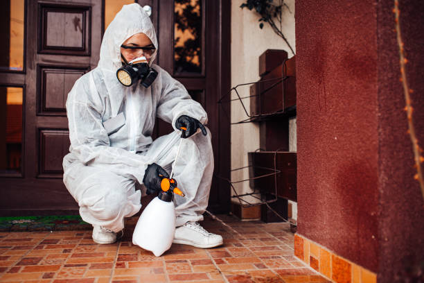 Reliable Termite Control contractor in Baker, LA by Nex Pest Control