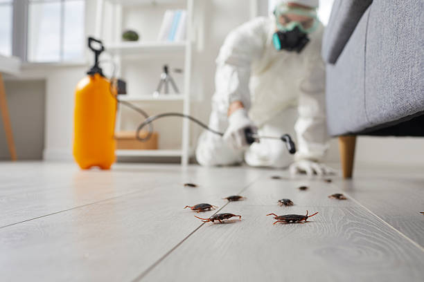 Affordable Termite Control solutions in Baker, LA