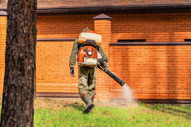 Top rated local Termite Control specialists in Baker, LA